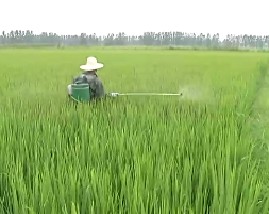 科学施肥技术（下）