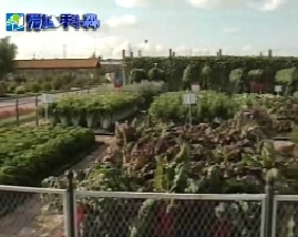 农业观光园-第五届长春农博会展区介绍（下）