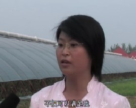 生态农场运营模式