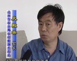 生物能利用技术