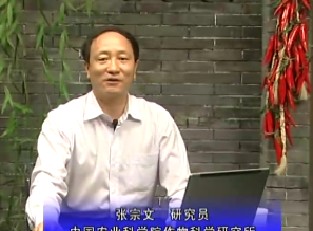 小宗粮食作物的产业发展