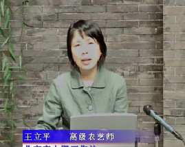 怎样鉴别肥料（上）