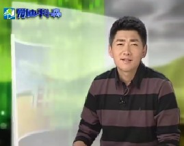 从劣质煤炭到植物生长调节剂