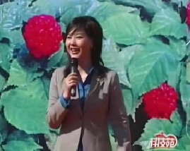 共话人参（上）