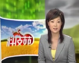 磨盘杮子的高产经