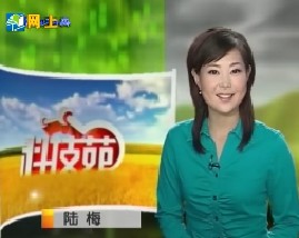 污泥变肥料越种越红的红心柚