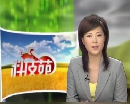 有趣的菠萝蜜管理技术