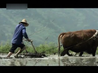 百科探秘—绝世宝剑
