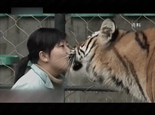 百科探秘—安娜驯虎记