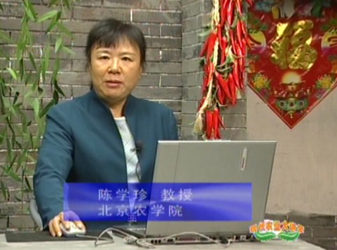 保护地节水技术（一）