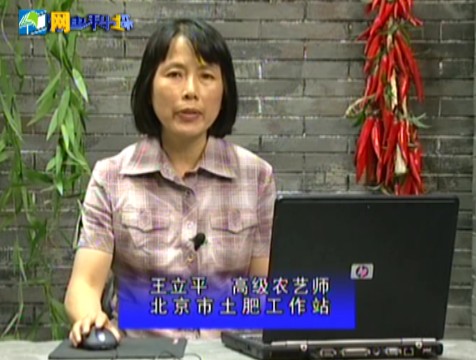 测土配方施肥技术之果菜类蔬菜施肥技术（上）