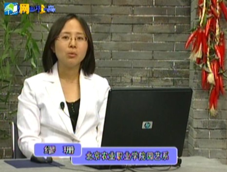 花卉采后处理与保鲜流通综合技术