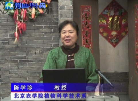 经济作物种子生产技术（上）