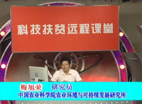 循环农业发展战略（上）