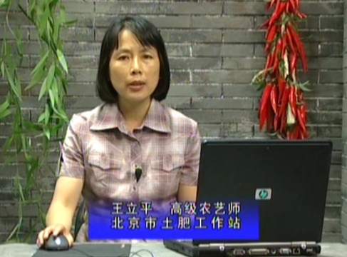 测土配方施肥技术之叶菜类蔬菜施肥技术