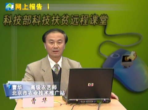 设施蔬菜高产高效栽培技术（一）