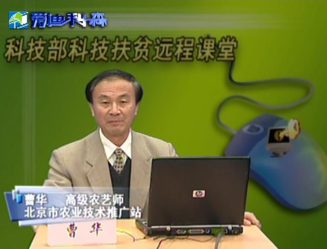 设施蔬菜高产高效栽培技术（三）