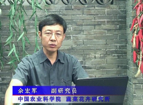 设施蔬菜有机生态型无土栽培及相关配套技术措施（下）