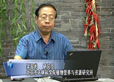 蔬菜营养与合理施肥（上）