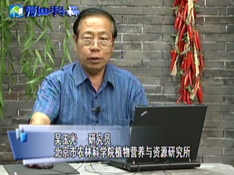 蔬菜营养与合理施肥（下）