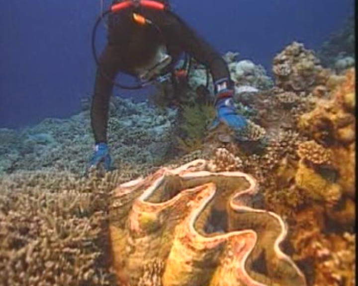 畅游台湾（二）