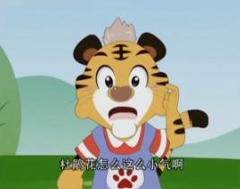 花朵的故乡