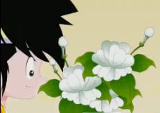 花草树木