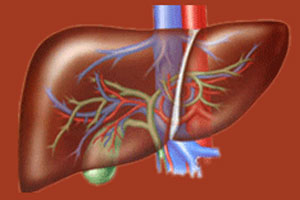 你不知道的脂肪肝（下）