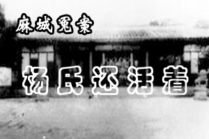 麻城冤案杨氏还活着