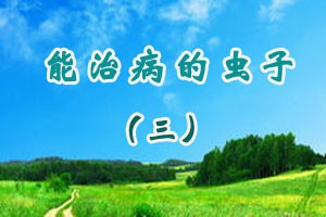 能治病的虫子（三）