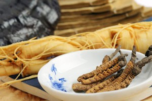 平民补品你用对了吗？（三）