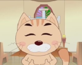 猫和老鼠