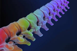 骨骼使用说明书（四）