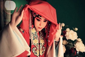 “牡丹花开”动京城寻梦