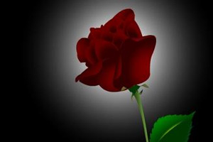 她为何向丈夫下毒手