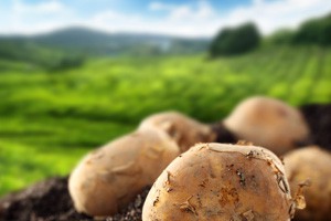 地下宝物也治病（上）