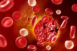 看懂血液化验单（下）