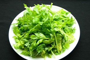 夏季烦恼叶来除（上）