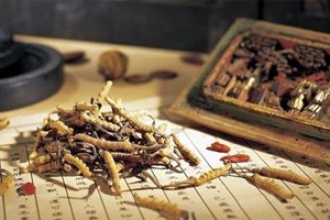 夏季养生先养阳（上）