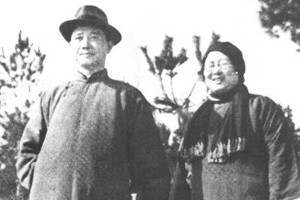 头号汉奸夫妻的不归路曾经是革命党
