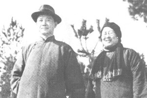 头号汉奸夫妻的不归路叛国者的末日