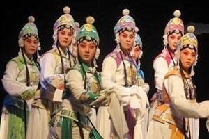 戏里戏外说历史·杨家将揭秘杨门女将