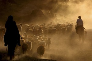 全球警报（三）