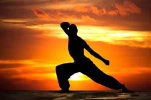 武术漫谈第一讲 中国武术的意义中国武术的内涵