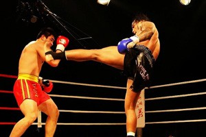 武术漫谈第六讲 中国武术的实战讲解徒手搏击（下）