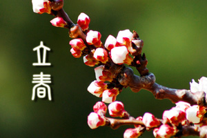 二十四节气立春
