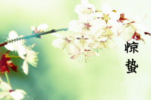 二十四节气惊蛰