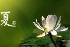 二十四节气夏至