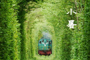 二十四节气小暑