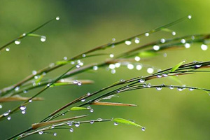 二十四节气白露